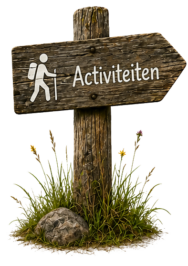 Activiteiten Activiteiten