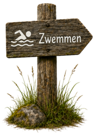 Zwemmen Zwemmen
