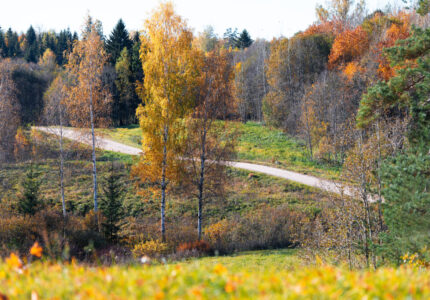 beautiful-romantic-country-road-winds-through-forest-colorful-autumn-trees In de herfst veranderen de heuvels in een prachtig palet van warme kleuren.