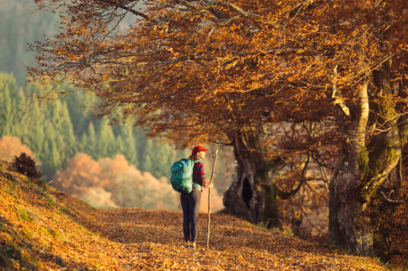 Female Hiker on Country Road Near Mountain Forest Female Hiker on Country Road Near Mountain Forest